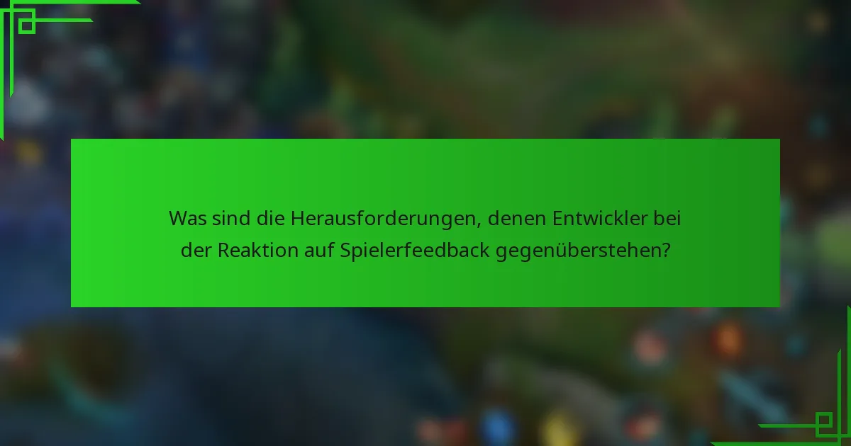 Was sind die Herausforderungen, denen Entwickler bei der Reaktion auf Spielerfeedback gegenüberstehen?
