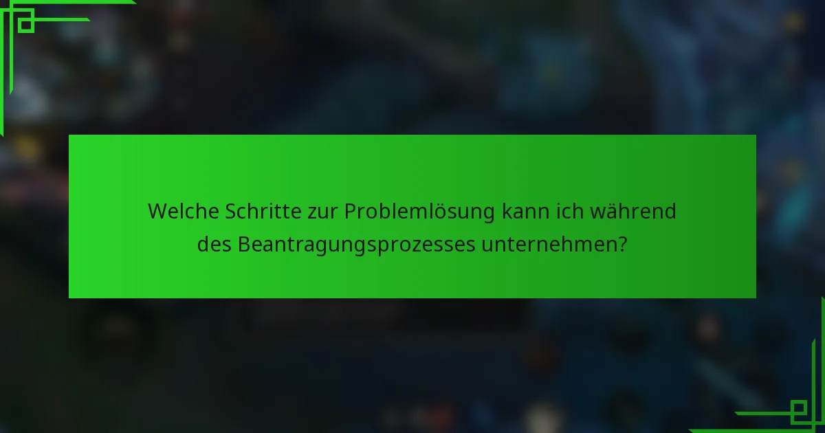 Welche Schritte zur Problemlösung kann ich während des Beantragungsprozesses unternehmen?